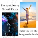 bioimmune-organic-lions-mane-supplement--4.jpg