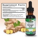 nature-s-answer-ginger-root-alcohol-free-3.jpg