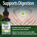 nature-s-answer-ginger-root-alcohol-free-4.jpg