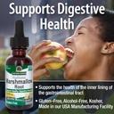 nature-s-answer-marshmallow-root-extract-4.jpg