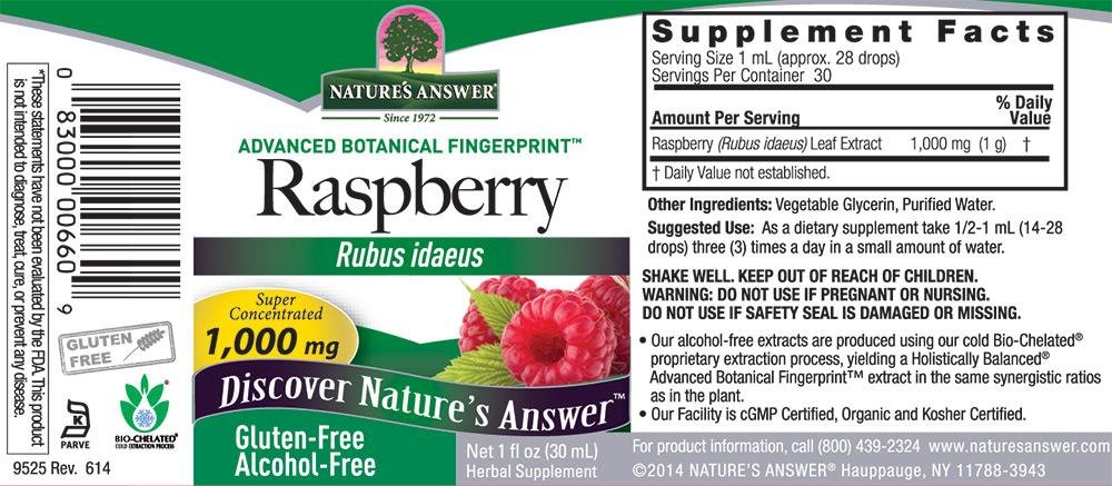 nature-s-answer-alcohol-free-raspberry-l-3.jpg
