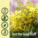 nature-s-answer-oregon-grape-root-with-l-5.jpg