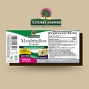 nature-s-answer-marshmallow-root-with-or-2.jpg