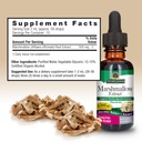 nature-s-answer-marshmallow-root-with-or-4.jpg