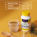 healthy-origins-pycnogenol-100-mg-120-ve-5.jpg