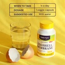 healthy-origins-nem-eggshell-membrane-50-6.jpg