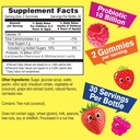 wellyeah-probiotics-for-kids-gummies-2-p-2.jpg