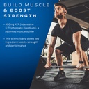muscletech-muscle-building-multivitamin--3.jpg