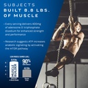 muscletech-muscle-building-multivitamin--4.jpg