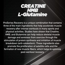 pro-series-recovery-creatine-hmb-l-gluta-3.jpg