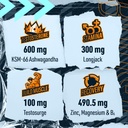 blue-star-nutraceuticals-status-testoste-4.jpg