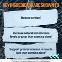 blue-star-nutraceuticals-status-testoste-5.jpg