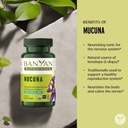 banyan-botanicals-mucuna-pruriens-organi-4.jpg
