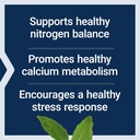 life-extension-l-lysine-620-mg-essential-4.jpg