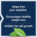 life-extension-waistline-control-s-indic-4.jpg