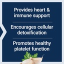 life-extension-optimized-garlic-standard-4.jpg