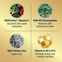 ageless-male-max-total-testosterone-boos-3.jpg