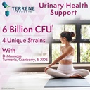 women-s-probiotic-capsules-urinary-tract-2.jpg