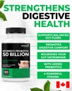 renew-actives-probiotics-for-women-50-bi-6.jpg