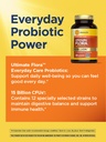 renew-life-everyday-probiotic-capsules-d-4.jpg