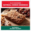 clif-bar-energy-protein-bars-oatmeal-rai-4.jpg