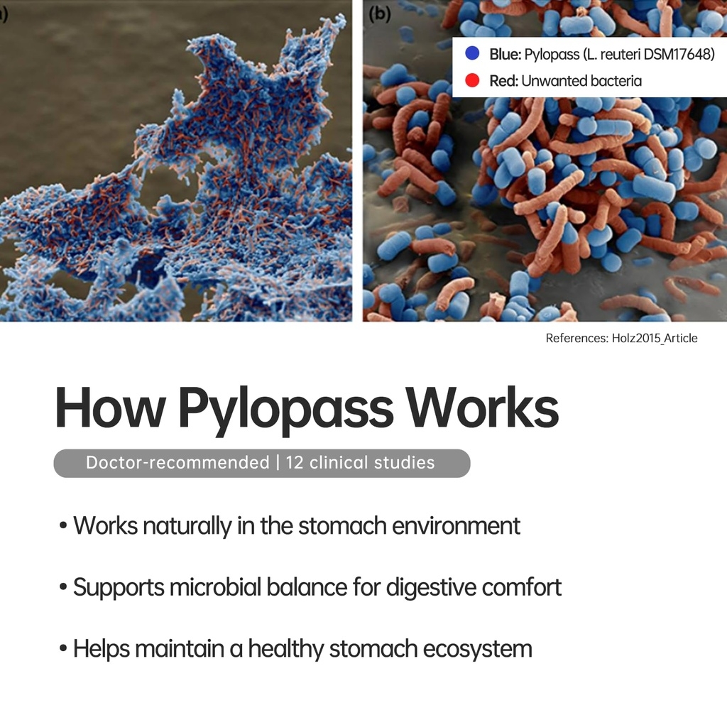 purmeo-4-pack-magenvital-pylopass-h-pylo-5.jpg