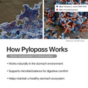 purmeo-4-pack-magenvital-pylopass-h-pylo-5.jpg