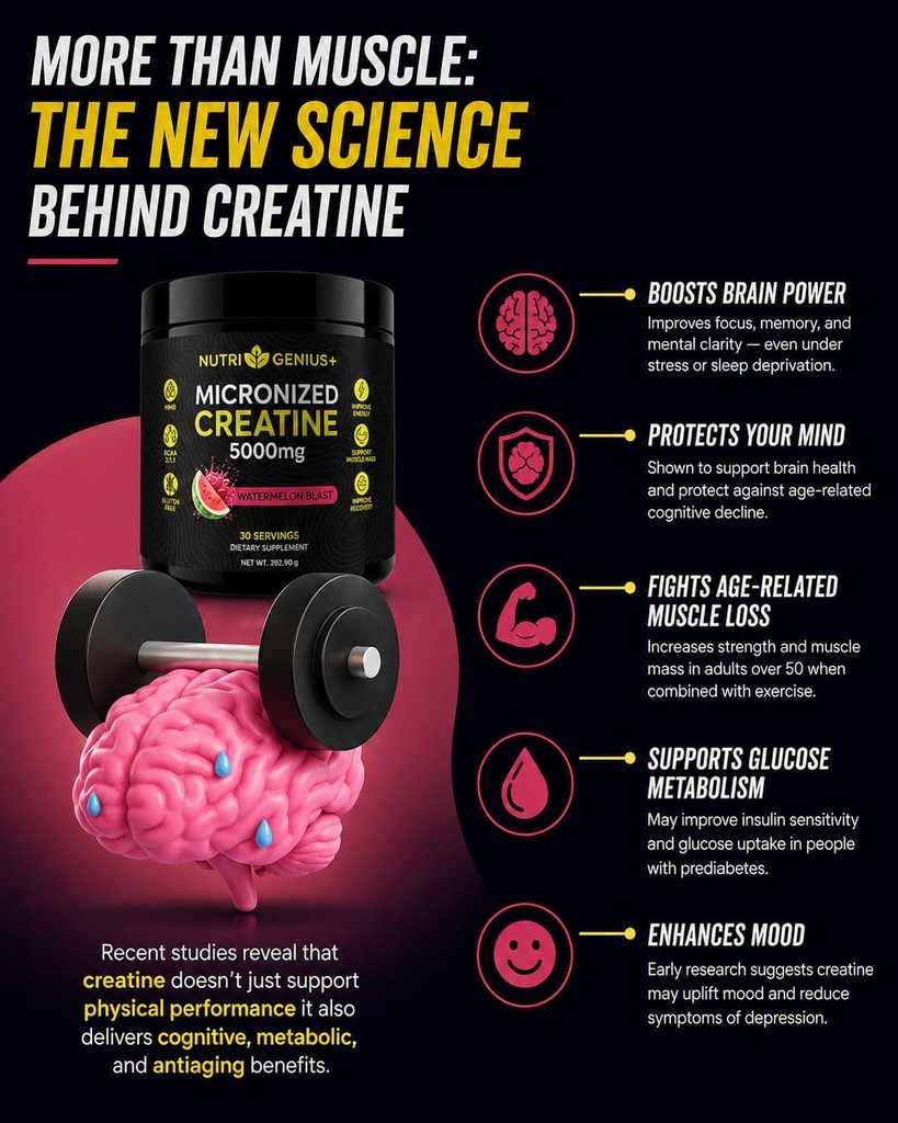 creatine-monohydrate-5g-with-bcaas-suppo-6.jpg