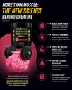 creatine-monohydrate-5g-with-bcaas-suppo-6.jpg