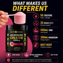 creatine-monohydrate-5g-with-bcaas-suppo-4.jpg