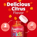 feel-great-vitamins-kids-dha-gummies-wit-3.jpg