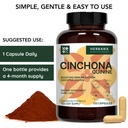 herbana-manufacturing-quinine-cinchona-1-3.jpg