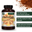 herbana-manufacturing-quinine-cinchona-1-4.jpg