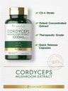 carlyle-cordyceps-mushroom-capsules-150--4.jpg