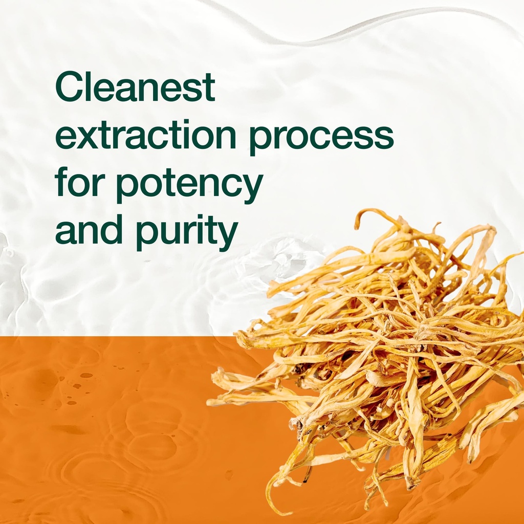 organic-cordyceps-capsules-cordyceps-sin-6.jpg