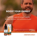 host-defense-cordyceps-extract-immune-en-5.jpg