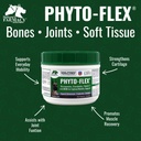 dogzymes-phyto-flex-glucosamine-chondroi-5.jpg