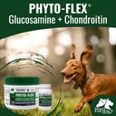 dogzymes-phyto-flex-glucosamine-chondroi-3.jpg