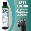 dogzymes-bloat-buster-8-ounce-2.jpg