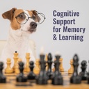 dogzymes-choline-aids-in-brain-function--3.jpg