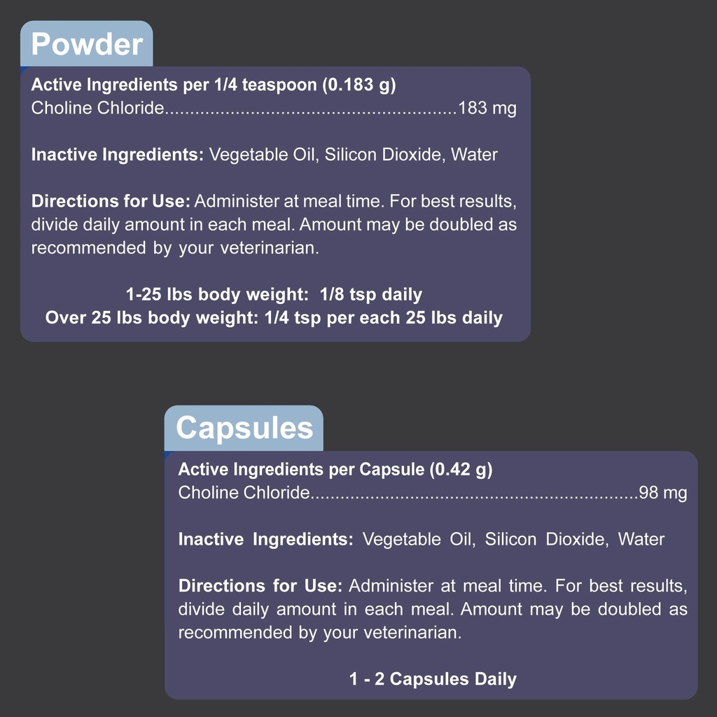 dogzymes-choline-aids-in-brain-function--4.jpg