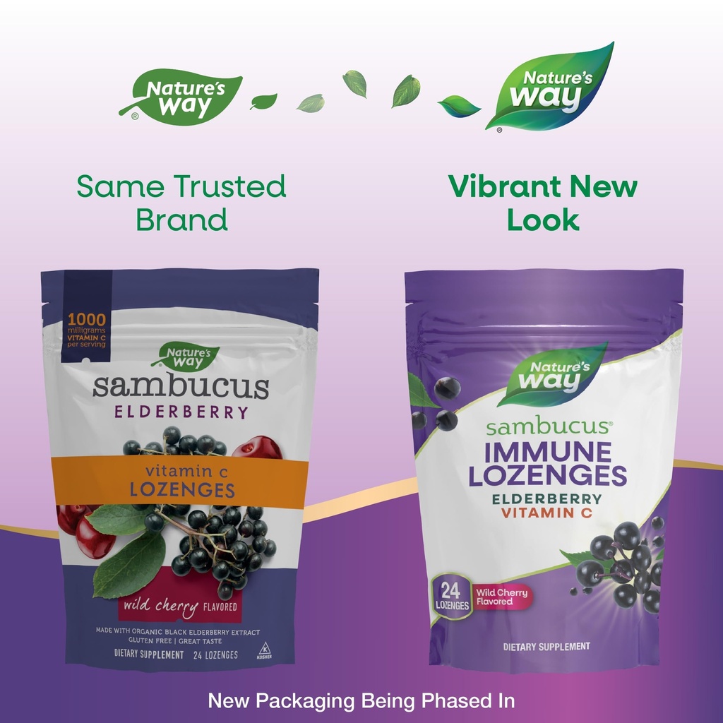 nature-s-way-sambucus-elderberry-lozenge-3.jpg