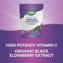 nature-s-way-sambucus-elderberry-lozenge-5.jpg