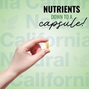 wild-oregano-oil-vegetarian-soft-capsule-6.jpg