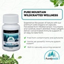 purely-wild-dr-cass-ingram-s-oregano-oil-4.jpg
