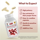 andrew-lessman-vitamin-b12-500-180-capsu-4.jpg
