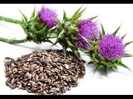 liphontcta-wildcrafted-milk-thistle-seed-3.jpg