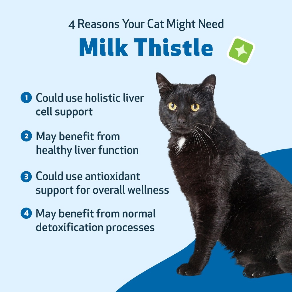 pet-wellbeing-milk-thistle-for-cats-orga-3.jpg