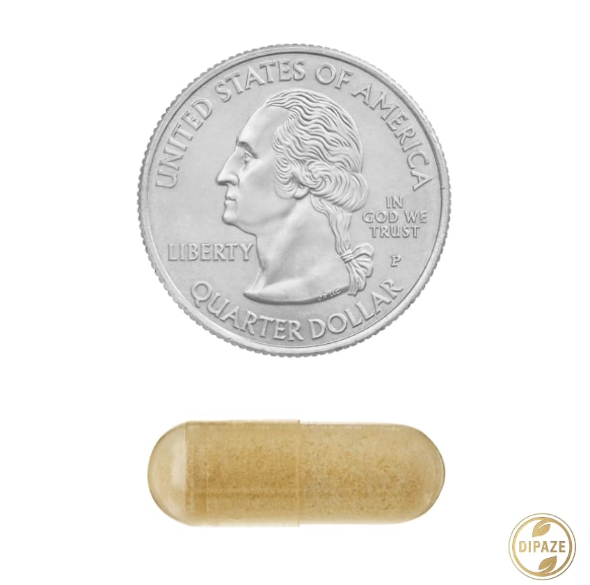 spring-valley-nac-1000-mg-vegetarian-cap-3.jpg