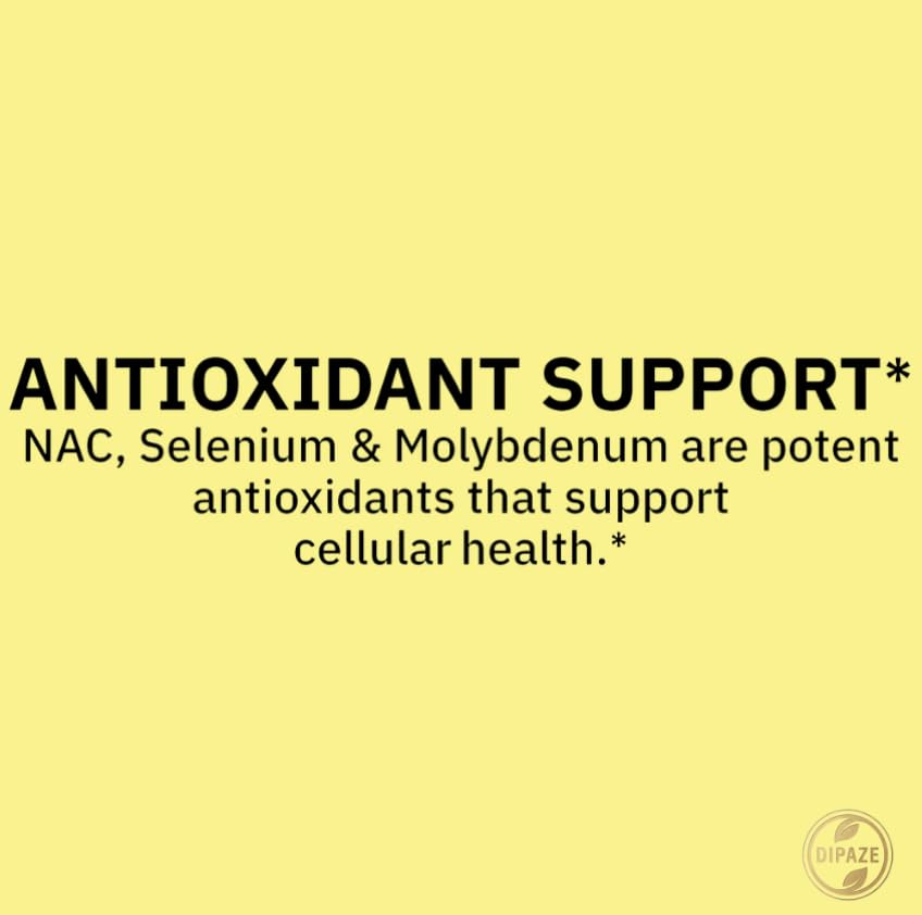 spring-valley-nac-1000-mg-vegetarian-cap-5.jpg